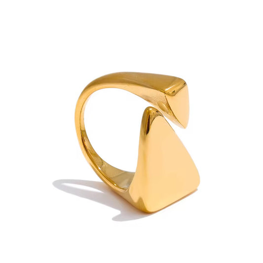 Geometric Open Ring